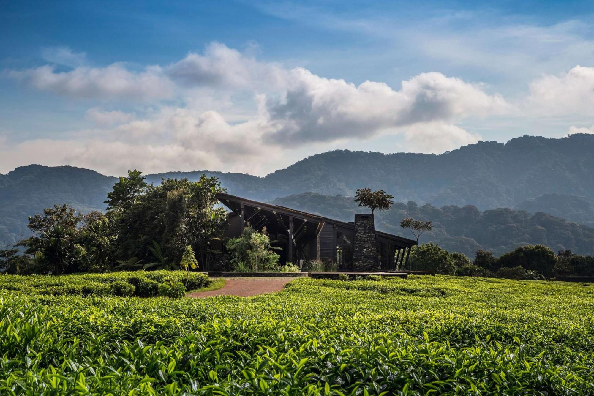 One&Only Nyungwe House Villa Rwumba Exterior photo